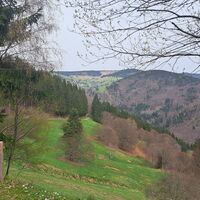 Weg vom Knöpflesbrunnen nach Hasbach