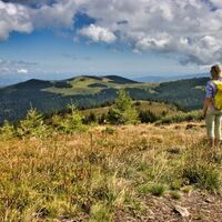 Blick zurück auf die Almen
