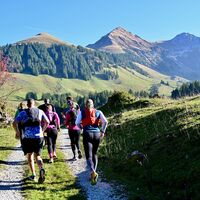 Sollergraben - Selibühl Trailrun