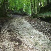 Hohlweg hinauf zum Winnfeld, anspruchsvoller Streckenabschnitt