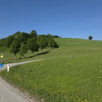 Aufstieg zum Gehöft Hochscharten