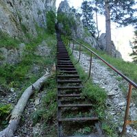 Aufstieg Schönbrunnerstiege