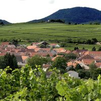 Landau Wollmesheim