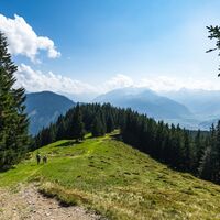 schwalbenwand runde_img_603097330