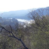 Blick in das Donautal nach Weißenkirchen