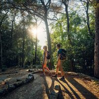 Weg durch den mediterranen Wald über der Bucht von Triest.