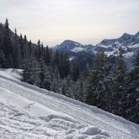 Bestens präparierter Winterwanderweg von der Hochwurzen ins Tal