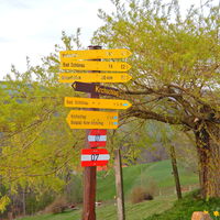 Kirchschlag i. d. Buckl. Welt - Tauchen