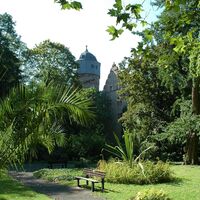 Botanischer Garten