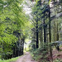 Sulzbachtrail