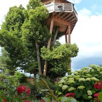 Prechtlhof - Baumhaus