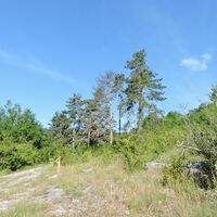 Naturspaziergang: Die Tour des Fierloz_Artemare