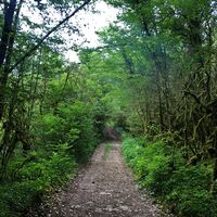 Weg zum Lac de Chailloux