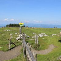 Schöckl-Plateau_Naturpark Almenland_Oststeiermark
