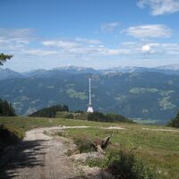 Mugel