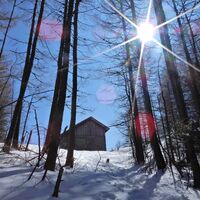 Puchberg - Schneebergdörfl - Mieseltal - Waxriegel