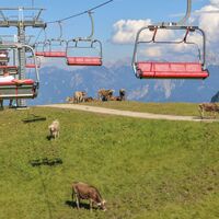 Fahrt mit der Hochalpbahn