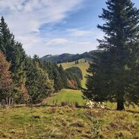 Blick zur Sommeralm_Naturpark Almenland_Oststeiermark