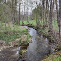 jetzt Schwaiblbach