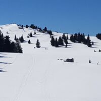 Hochalm