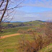 Kirchschlag i. d. Buckl. Welt - Tauchen