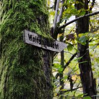 Wolfsschlucht Todtnau
