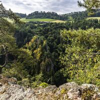 Ausblicke auf den Wald vom Schwedenfelsen, der im Schlüchttal liegt