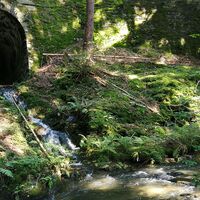 Unterwegs zur Raubritterburg Wysburg