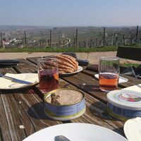Picknick auf dem Mandelhain