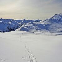 Der Gipfel des Mohar (2.604m) rechts gegenüber, entlockt uns ein Glücksgefühl