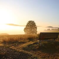 Bank im Nebel