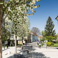 Bad Radkersburg erblüht im Frühling nahe der Grenzbrücke nach Gornja Radgona