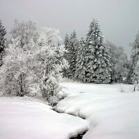 Winterwanderweg Pulvermoos