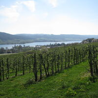 Blick vom Panoramaweg
