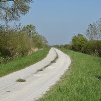 Entre vignes et marais6