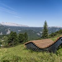20260713_Sommer_5418.jpg