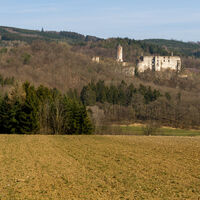 Ruine Hohenegg