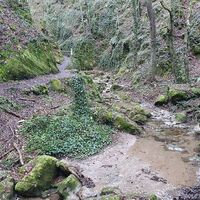 Johannesbach