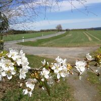 Zwischen Wegespinne und Sieglitzmühle