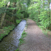 Gemütlicher Wegverlauf am Heidenwuhr.