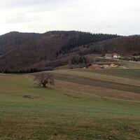 am Weg zur Weiglwarte