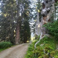 Wie der Eingang zum Feenreich