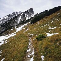 Kurz vor der Trittspuren zur Wildangerspitze