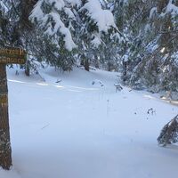 Wegweiser "Gloggnitzer Hütte und weiter in den Kesselgraben"