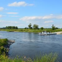 Gierseilfähre bei Dommitzsch