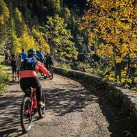 Mountainbike Strecke am Vorderen Gosausee
