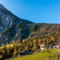Ropferstubm im Herbst - Moesern-Buchen