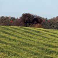 Herbstmond in Menzingen