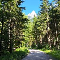 Forststraße im Seeboden