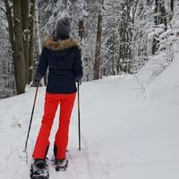 Schneeschuhwandern